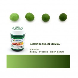 Barwnik Food Colours w żelu zieleń ciemna 35g